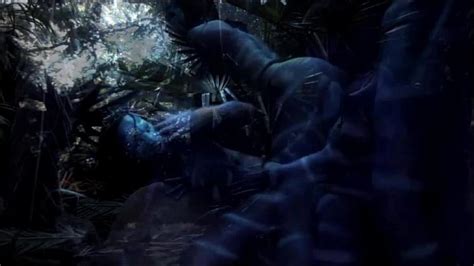 Avatar Xxx Porn Video Xxx Mobile Porno Videos Movies IPornTV Net