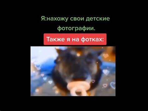 тик ток стал собакой - YouTube