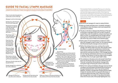 Facial Lymph Massage Direction Guide Poster Printable Etsy Masaje Linfático Sistema