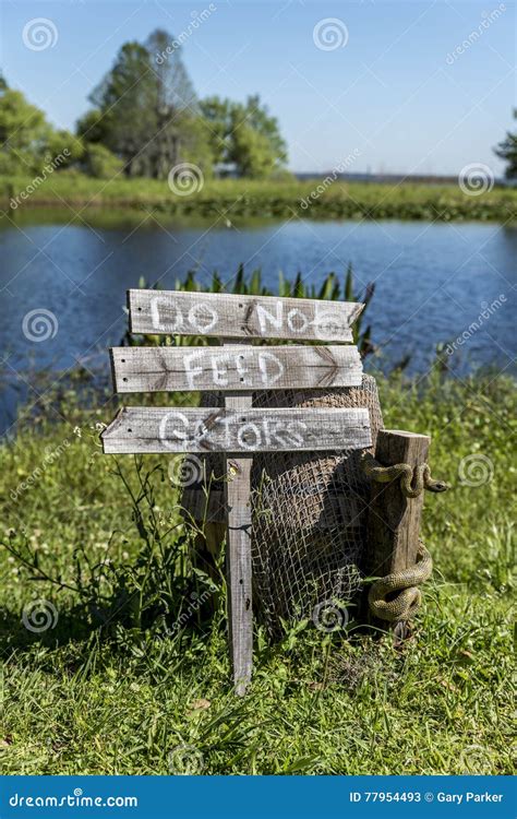 Do Not Feed that Gators Wooden Sign Post Stock Image - Image of