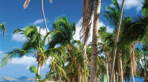 Visit Saint Thomas Lowland: Best of Saint Thomas Lowland Tourism ...