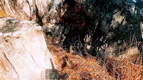 My Ejaculation Scene Zambian Gay African Masturbation Porn By FapHouse XHamster