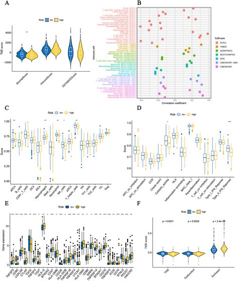 Immune Related Analyses Of Cuproptosis‐related Icgs Prognostic