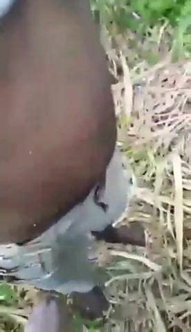 Png Gay Kaikai Kok Xhamster