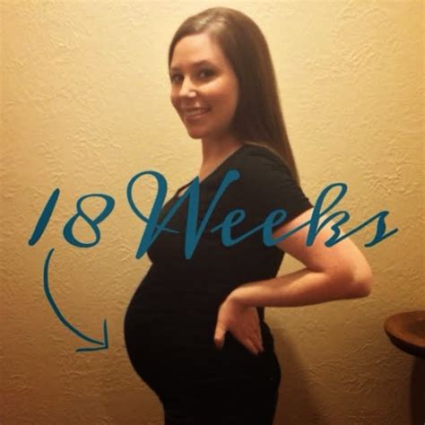 Team Shep Blog: Baby Boy Shep - 18 Weeks