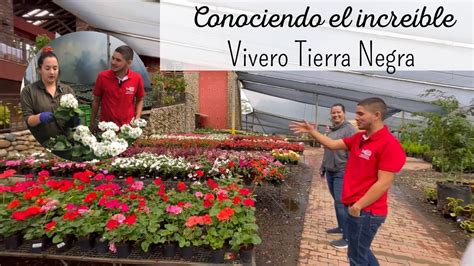 Comprando PLANTAS EN TIERRA NEGRA el vivero más grande de MEDELLÍN