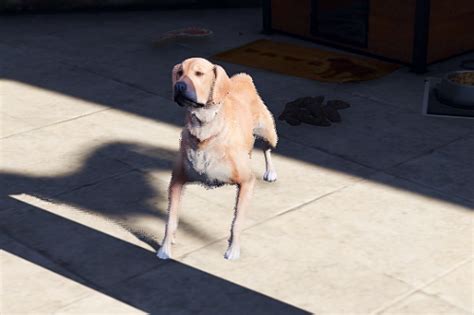 Nude Beach Girls GTA Mods