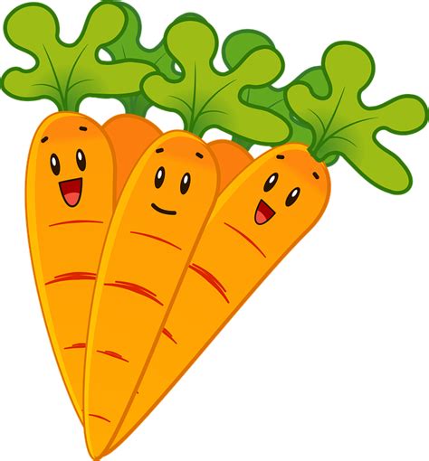 Wortel Sayur Sayuran Sehat Gambar Vektor Gratis Di Pixabay
