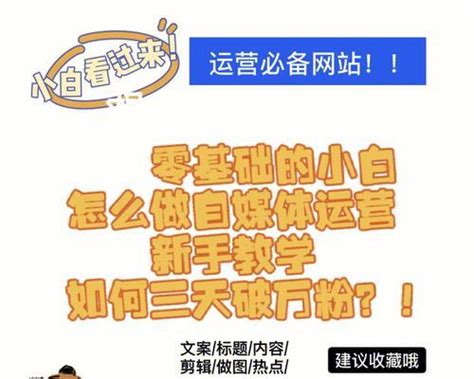 从零开始学习自媒体（手把手教你打造属于自己的媒体） 8848seo