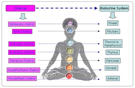 Reiki Treatment For Pain Learn The Science Behind Reiki Chakras