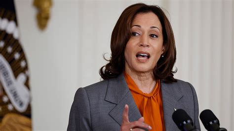 Rep Jordan Says Kamala Harris Could Fix The Border Economy As Vp But