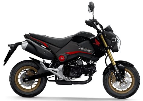 Top 10 Motorcycles For Beginners | atelier-yuwa.ciao.jp