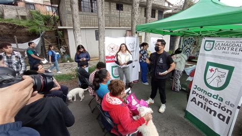 Concluye con éxito jornada gratuita de esterilización y vacunación en