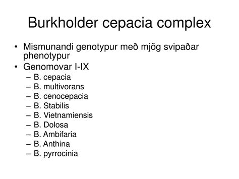 PPT - Burkholderia cepacia PowerPoint Presentation, free download - ID ...