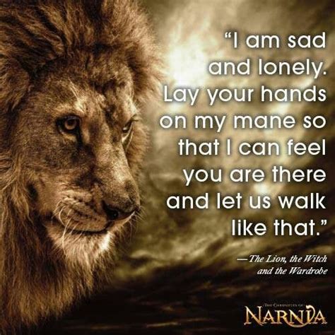 Narnia Book Quotes. QuotesGram