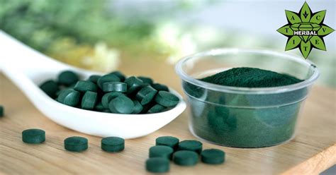 Лечебните свойства на Спирулина, водорасли, стомашно-чревни ...