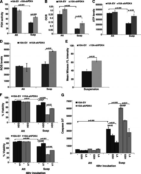 Knockdown Of Pdk4 Increases Mitochondrial Respiration And Ros Levels In Download Scientific