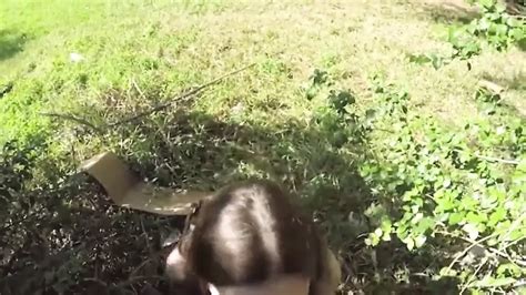 Molly Jane Porn Videos Porn Star Sex Scenes Xhamster