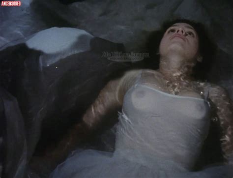 Plate Tectonic Theory Diagram Hot Sex Picture