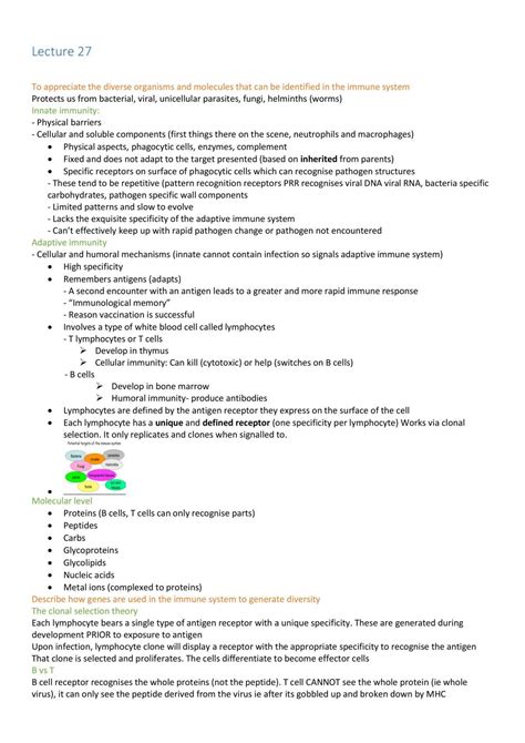 Molecular biology: Immunology | BMS1062 - Molecular Biology - Monash | Thinkswap