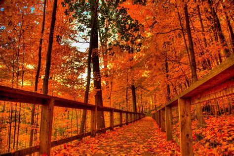 Autumn Season Wallpapers Top Free Autumn Season Backgrounds Wallpaperaccess