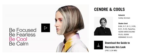 Schwarzkopf Professional Igora Royal 8 21 Light Blonde Cendre Ash Extra 60ml