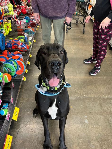 Pet Supplies Plus - West Erie, PA | Erie PA