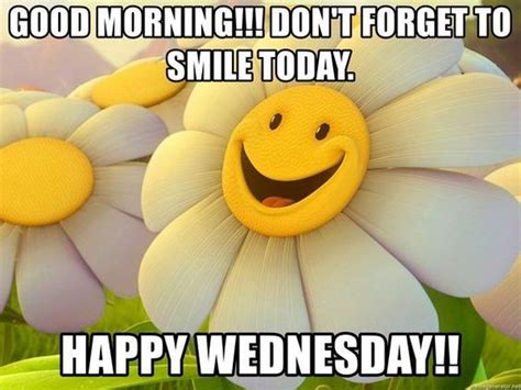 100 Good Morning Wednesday Memes Hump Day Memes To Week Tiny Positive