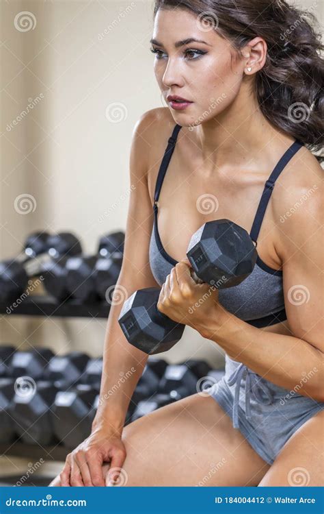 Gorgeous Brunette Fitness Model Working Out In A Studio Environment Stock Photo Image Of