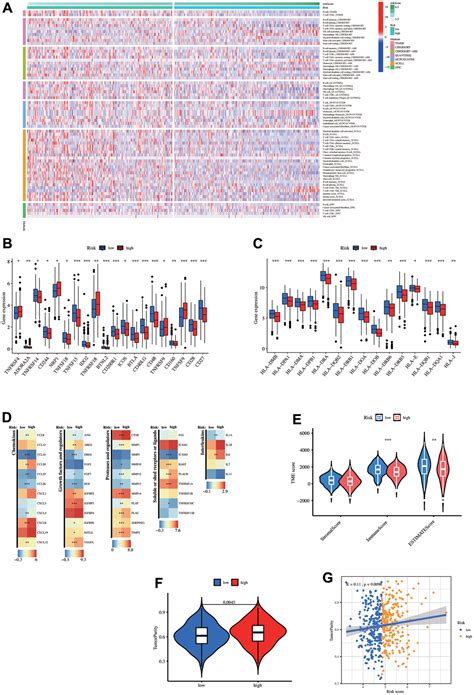 Prognostic Analysis Of Lung Adenocarcinoma Based On Cancer Associated