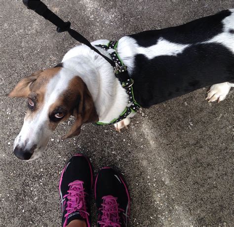 Day 27 Finally Warm Enough To Run Again Running Picture Warm