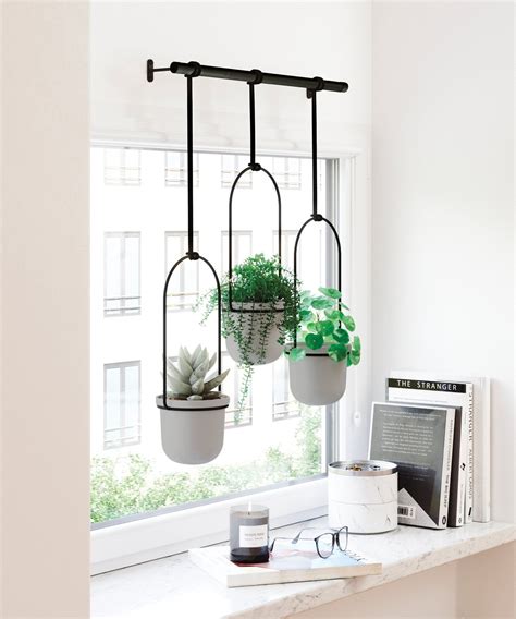 Kitchen Plants