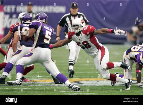 Oct 9 2011 Minneapolis Minnesota Us Arizona Cardinals