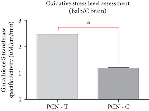 Pcn Redox Activity Assessment Across Bbb Experimental Mice With Pcn Ip