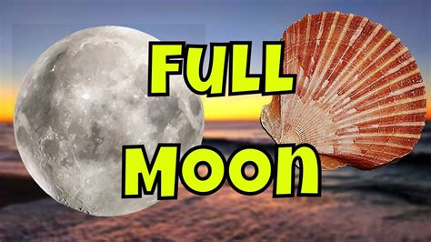 Foggy Full Moon Shelling Youtube