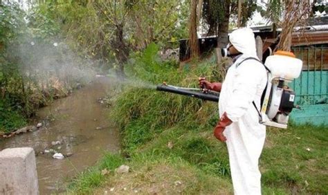 dengue  allarme  argentina infonurse