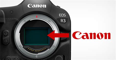 Canon Rebuffs Rumors That Its R3 Sensor Is Made By Sony PetaPixel