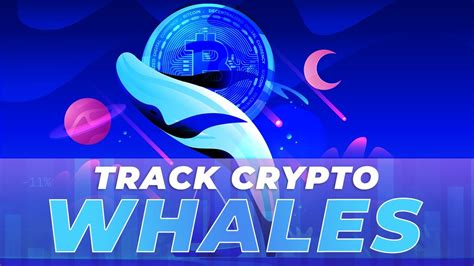 How To Track Crypto Whales And Profit From Their Trades YouTube