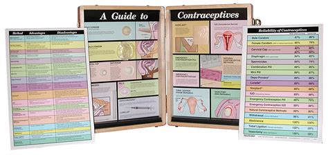 Health Edco W43080 A Guide To Contraceptive 3d Model 33cm