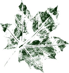 10 Printed Leaf Texture (PNG Transparent) | OnlyGFX.com