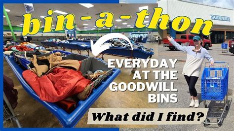 Goodwill Bins Thrifting Trip Vlog I Spent Everyday Thrifting At The