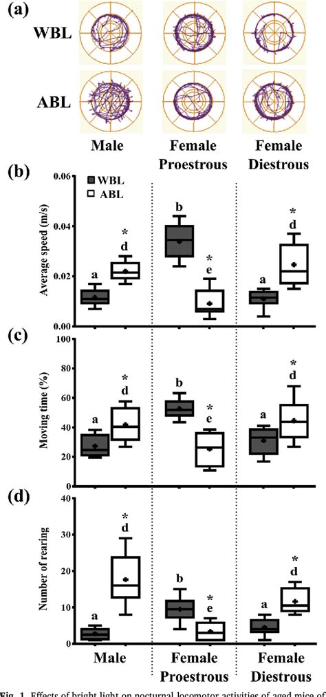 Figure 1 From Sex And Estrous Cycle Dependent Changes In Locomotor Activity Anxiety And Memory