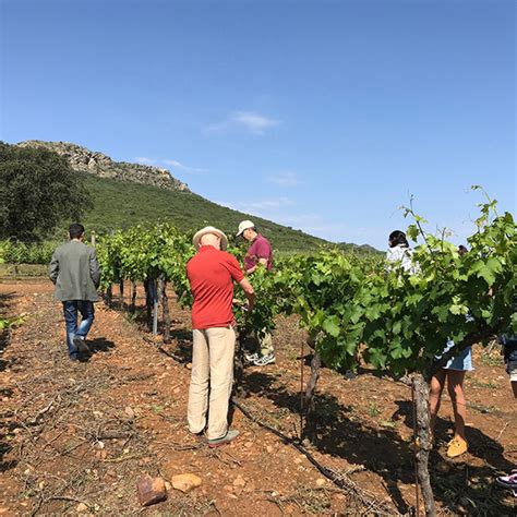 Viña Santa Marina - Wine tasting & tour | Winetourism.com