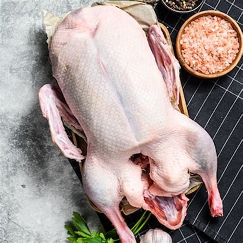 Duck Fresh Meat – ANEKA KREASI NUSANTARA