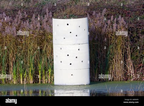 Artificial Sand Martin Nests Stock Photo Alamy