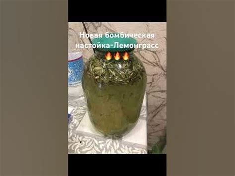 Новая бомбическая настойка-Лемонграсс🔥🔥🔥 - YouTube