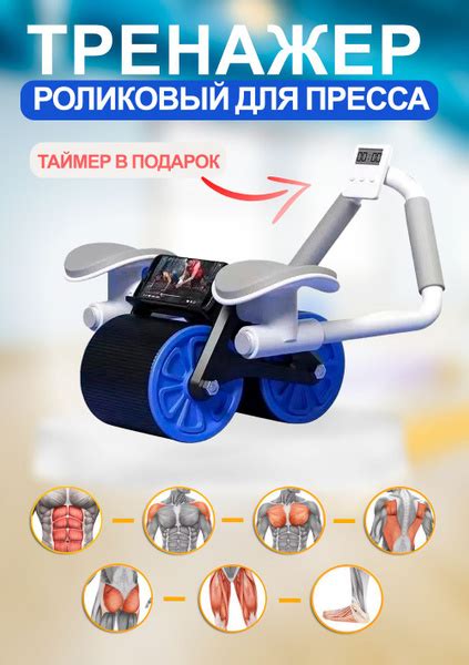 Ролик для пресса с возвратным механизмом, цвет синий TH95-29 - купить в ...
