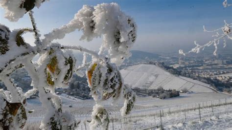 J Hriger Kalender Mit Eindeutiger Wetter Prognose So Wird Der