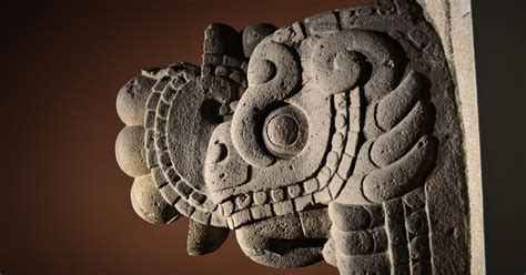 Antropología Qué Es Y Cuál Es La Historia De Esta Disciplina Científica
