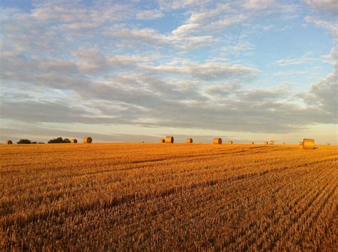 la campagna nature farmland outdoor